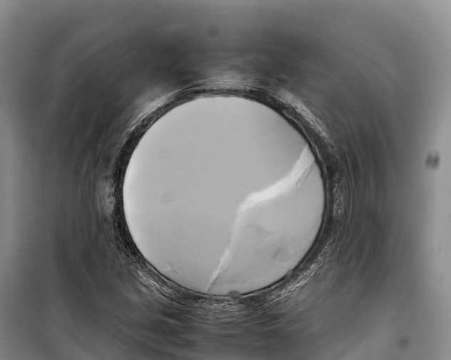 X0000099231213200805151622