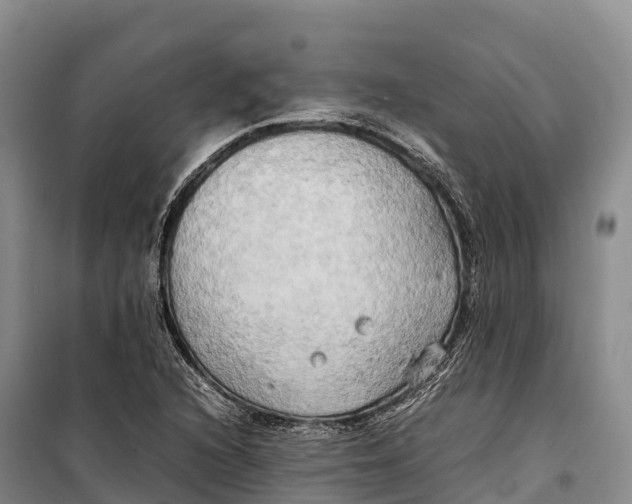 X0000099231216200805151622