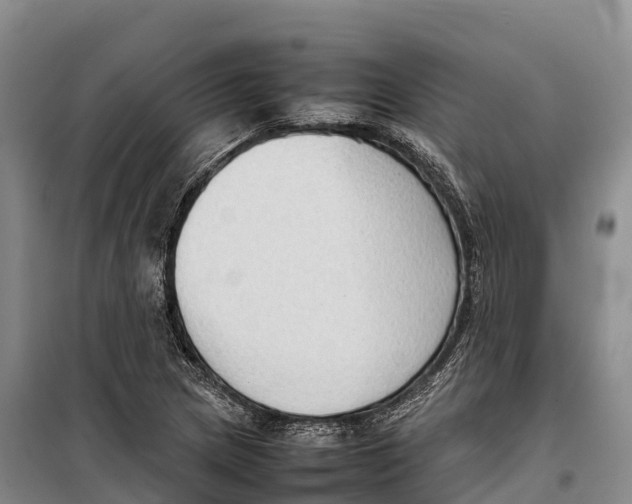 X0000099231217200805151622