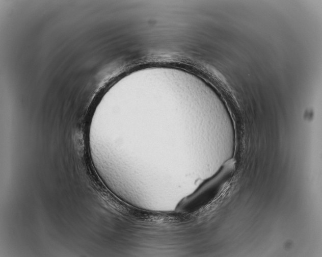 X0000099231218200805151622