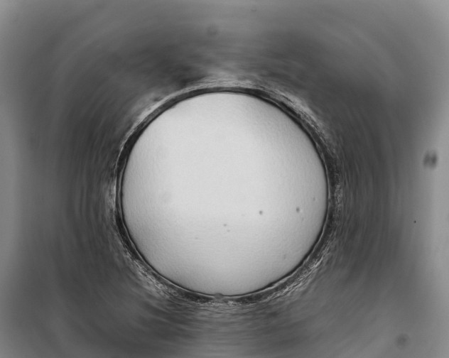 X0000099231220200805151622