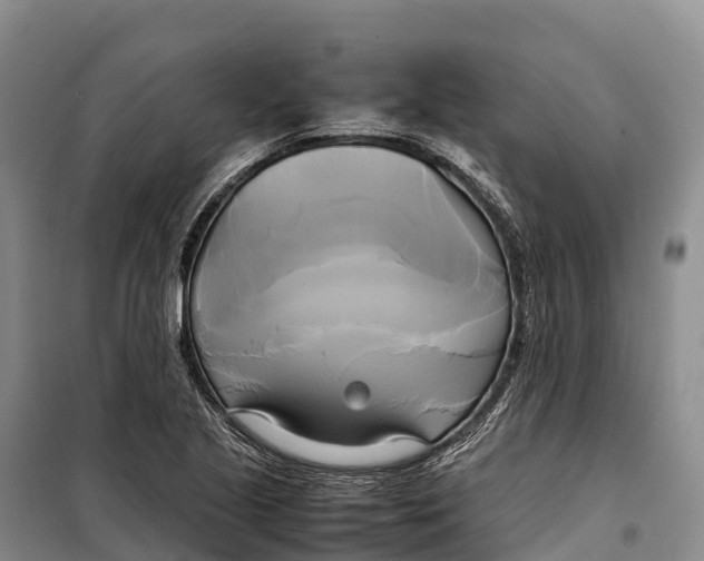 X0000099231221200805151622