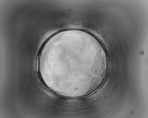 X0000099231223200805151622