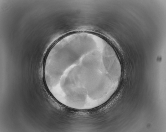 X0000099231224200805151622