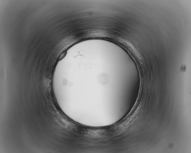 X0000099231225200805151622