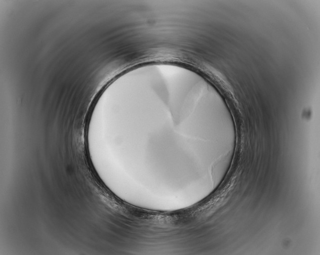 X0000099231226200805151622