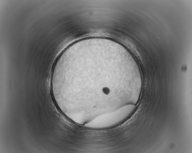 X0000099231228200805151622