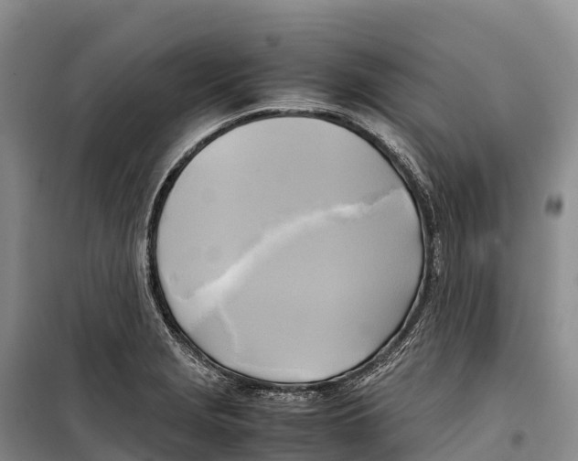 X0000099231229200805151622