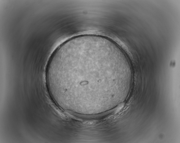 X0000099231230200805151622