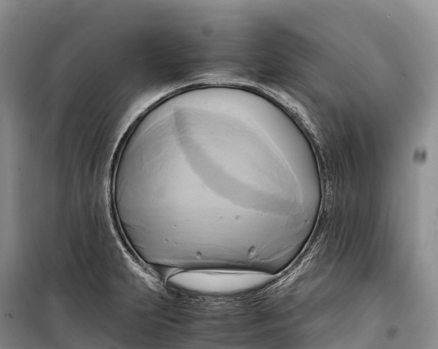 X0000099231231200805151622