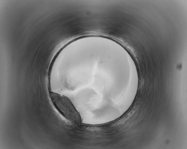 X0000099231239200805151622