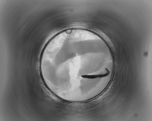 X0000099231240200805151622