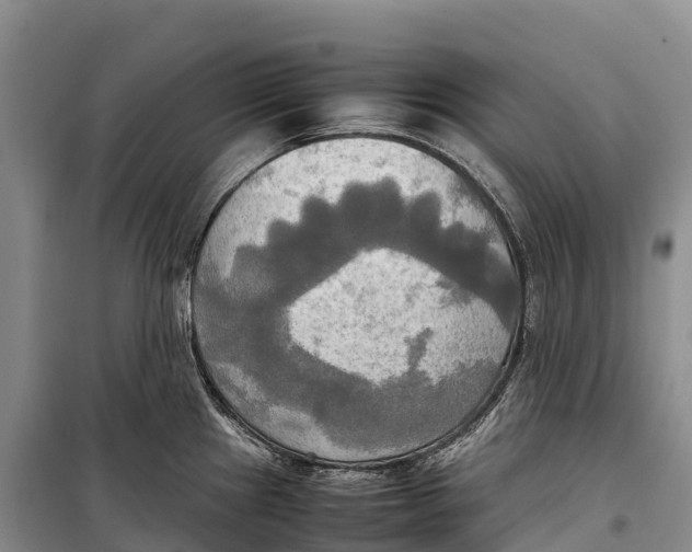 X0000099231241200805151622