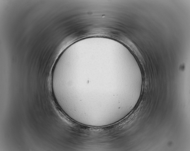 X0000099231242200805151622