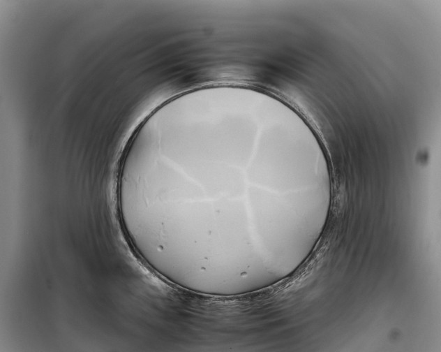 X0000099231243200805151622