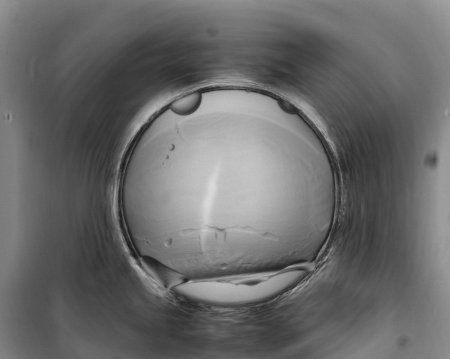 X0000099231245200805151622