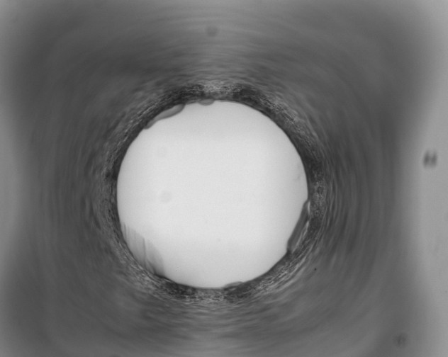 X0000099231249200805151622