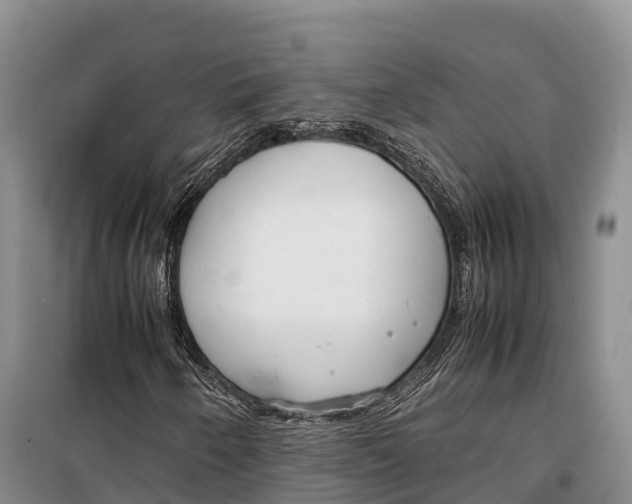 X0000099231250200805151622