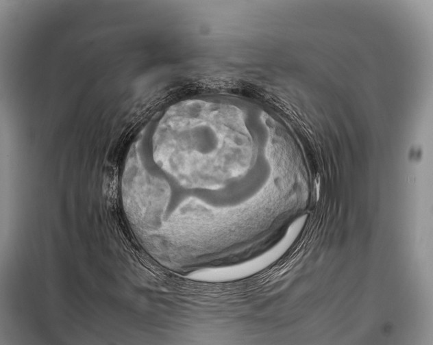 X0000099231251200805151622