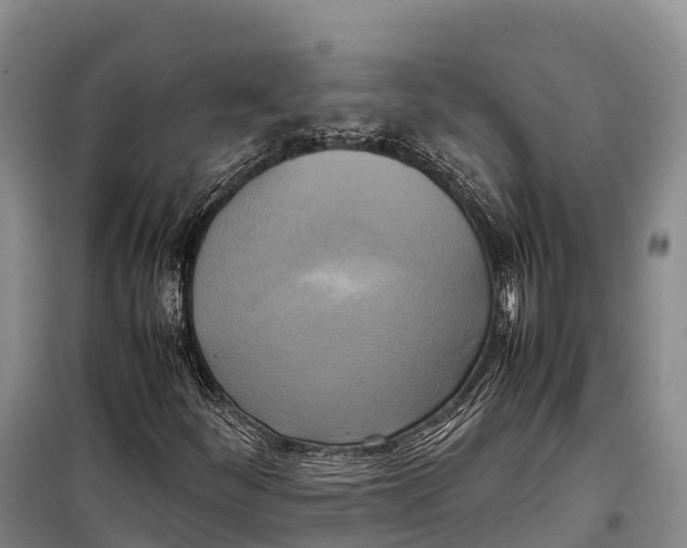 X0000099231252200805151622