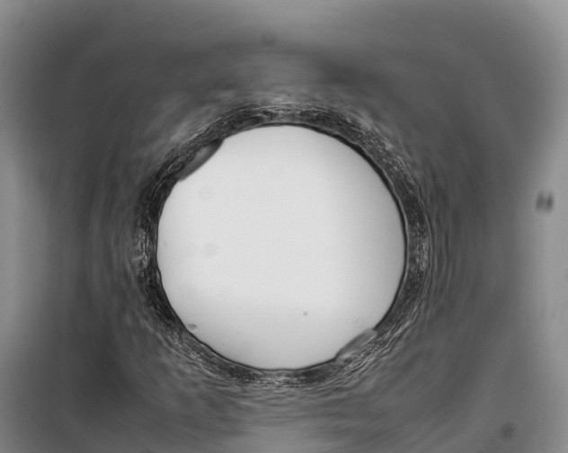 X0000099231253200805151622