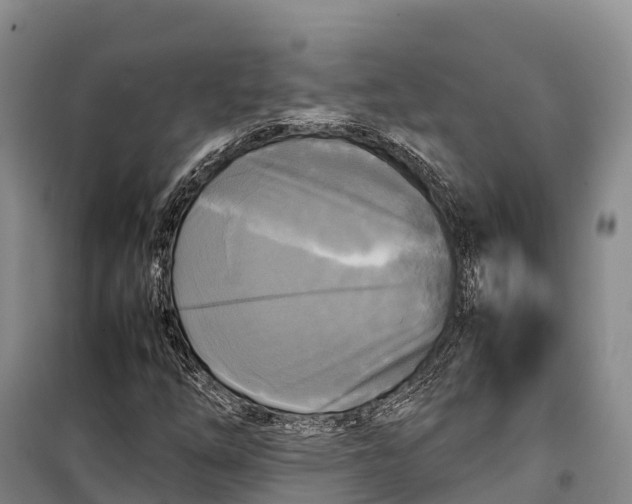 X0000099231254200805151622