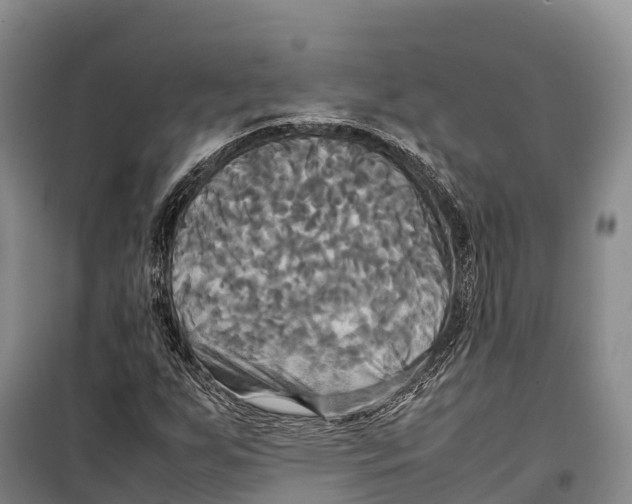 X0000099231255200805151621