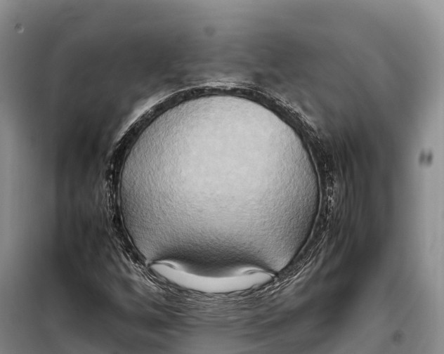 X0000099231256200805151621