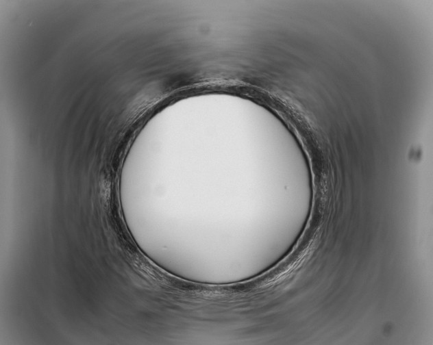 X0000099231257200805151621