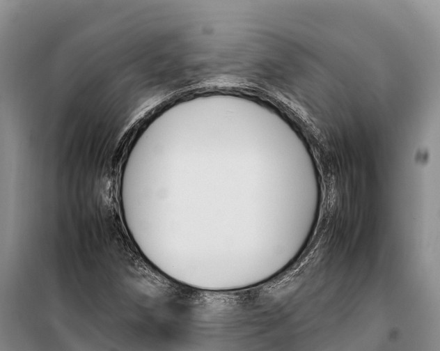 X0000099231258200805151621