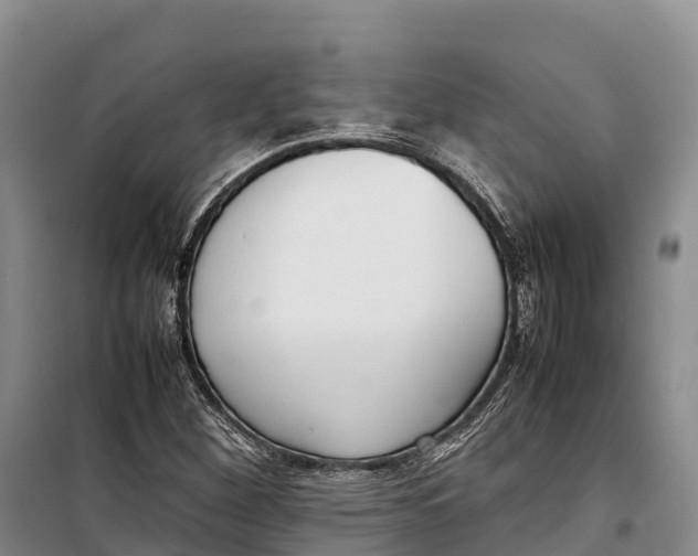 X0000099231260200805151621