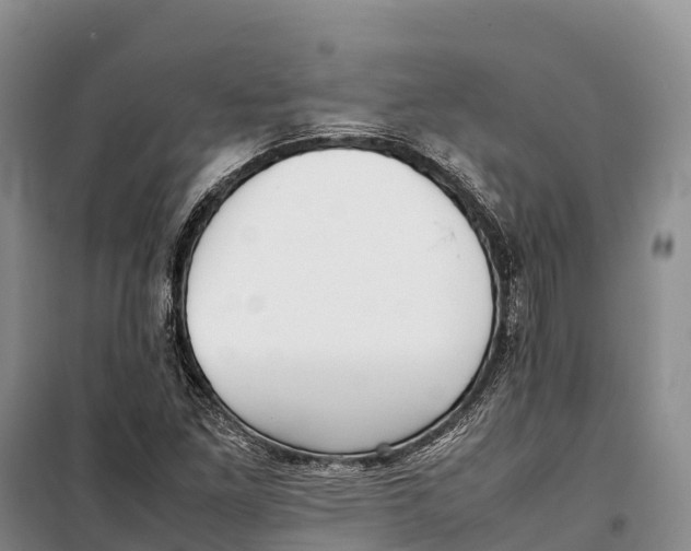 X0000099231261200805151621