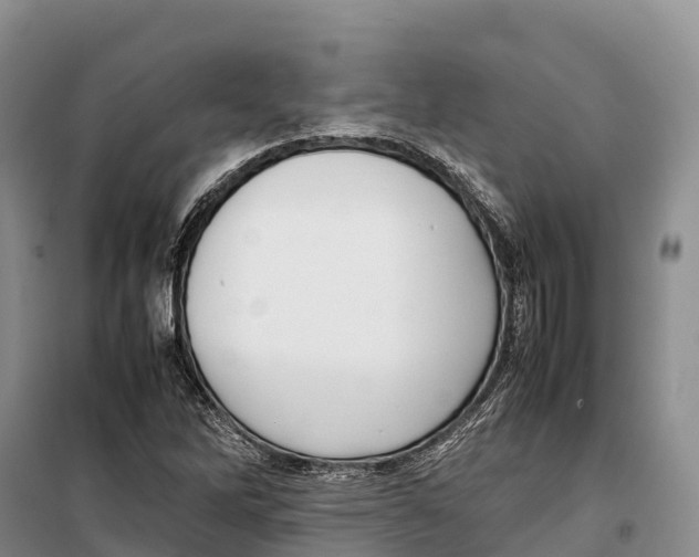 X0000099231262200805151621