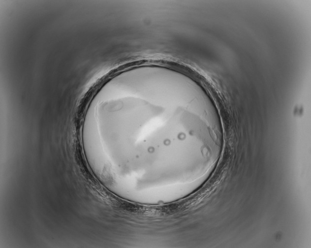 X0000099231263200805151621