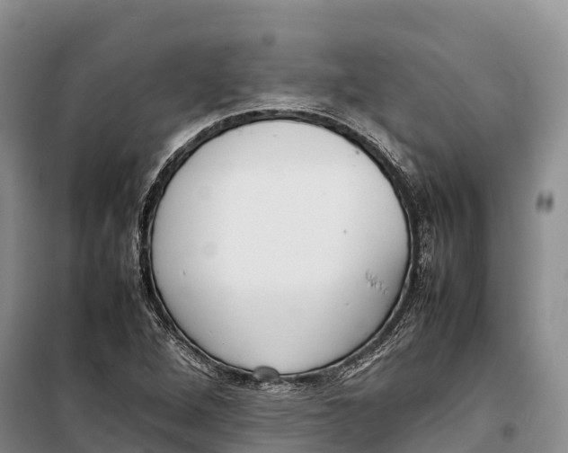 X0000099231264200805151621