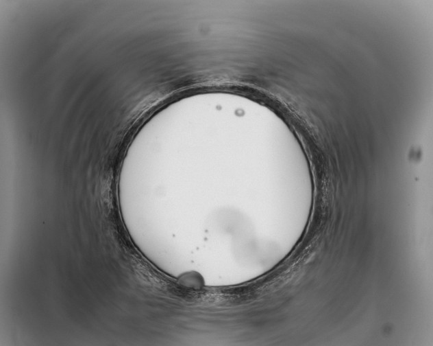 X0000099231265200805151621