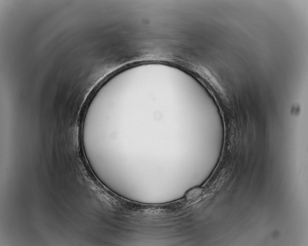 X0000099231268200805151621