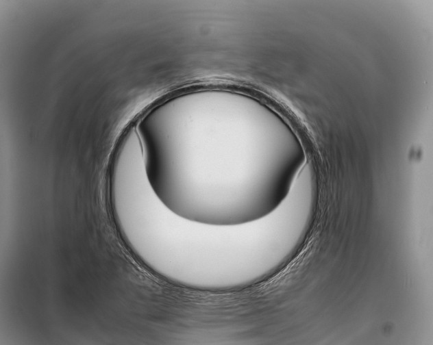 X0000099231269200805151621