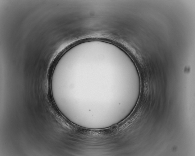 X0000099231270200805151621