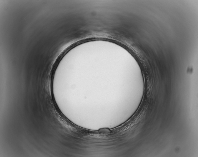 X0000099231272200805151621