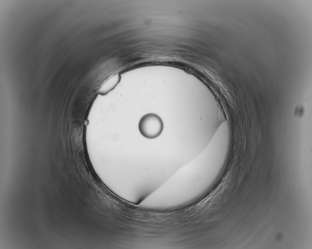 X0000099231273200805151621