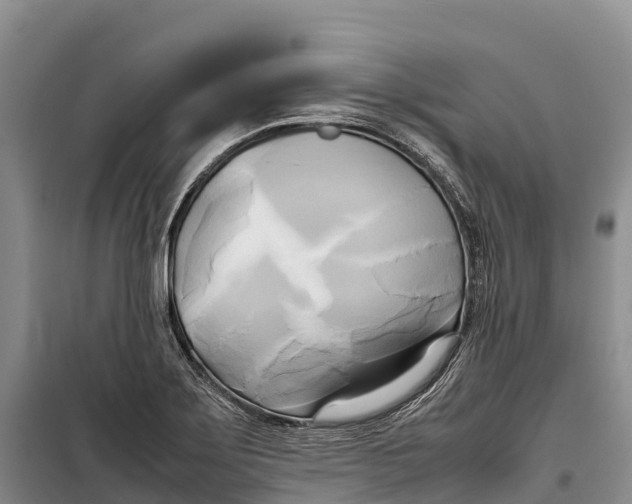 X0000099231275200805151621