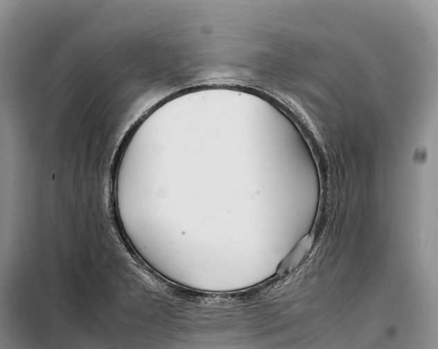 X0000099231277200805151621