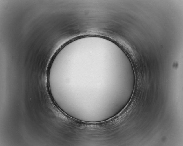 X0000099231280200805151621