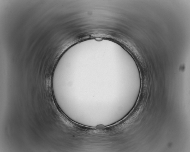 X0000099231281200805151621