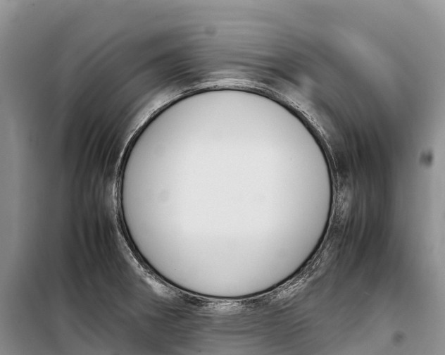 X0000099231282200805151621