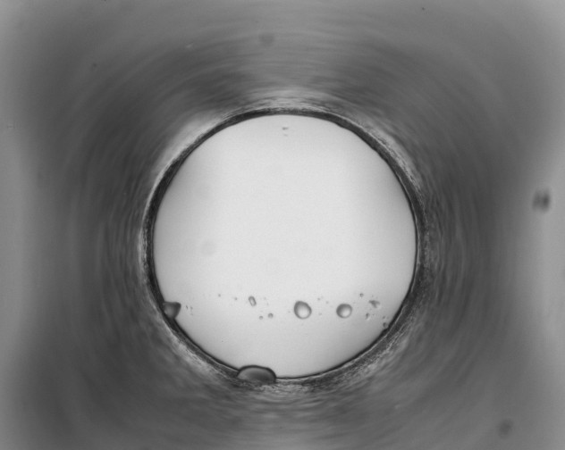 X0000099231285200805151621