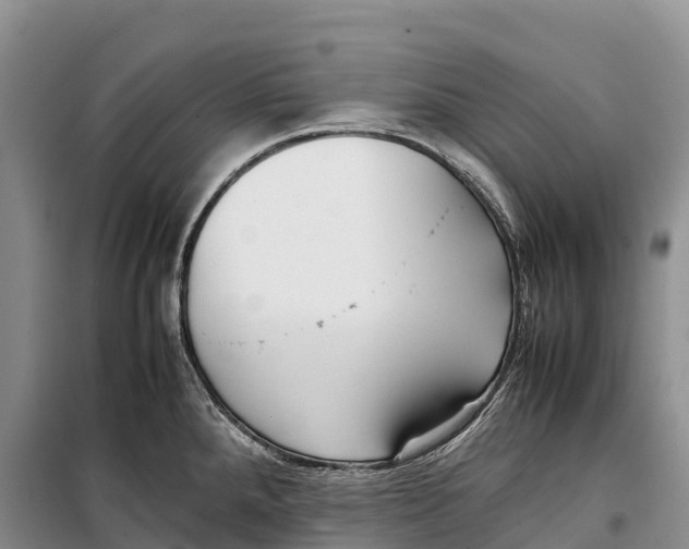 X0000099231288200805151621