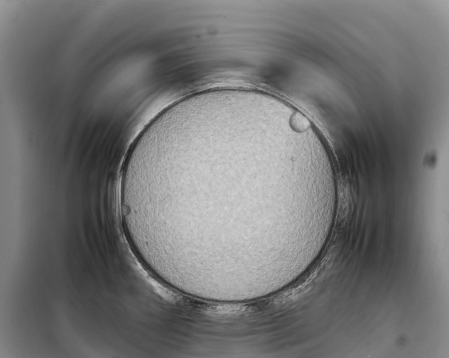 X0000099231290200805151621