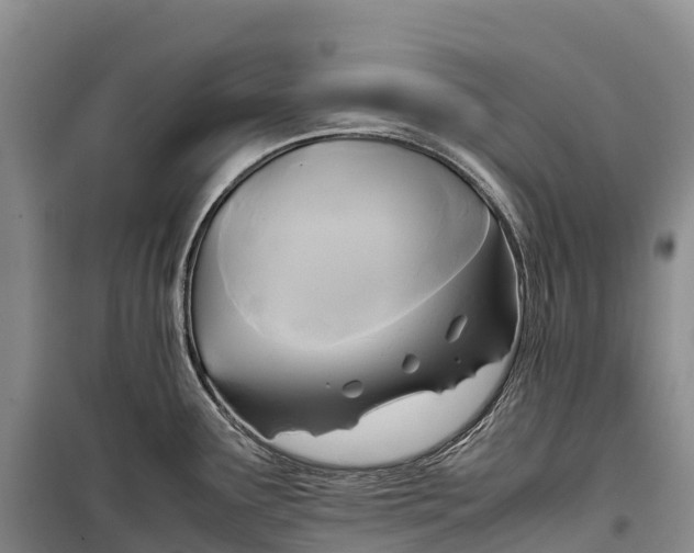 X0000099231291200805151621